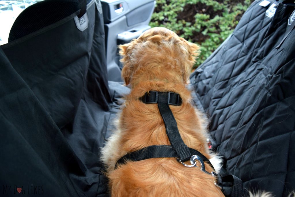 Plush paws outlet hammock