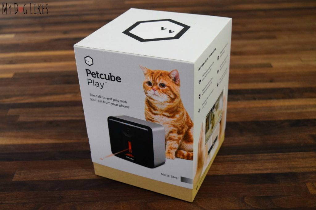 Petcube Play review - MyDogLikes