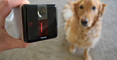 MyDogLikes PetCube Review and User Guide