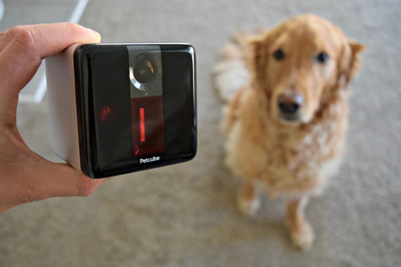 MyDogLikes PetCube Review and User Guide