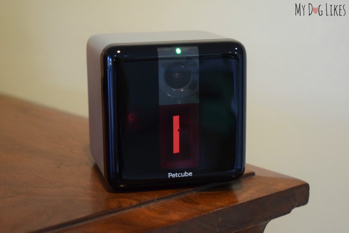 Petcube Review Interacting With Your Pets When You're Not at Home!