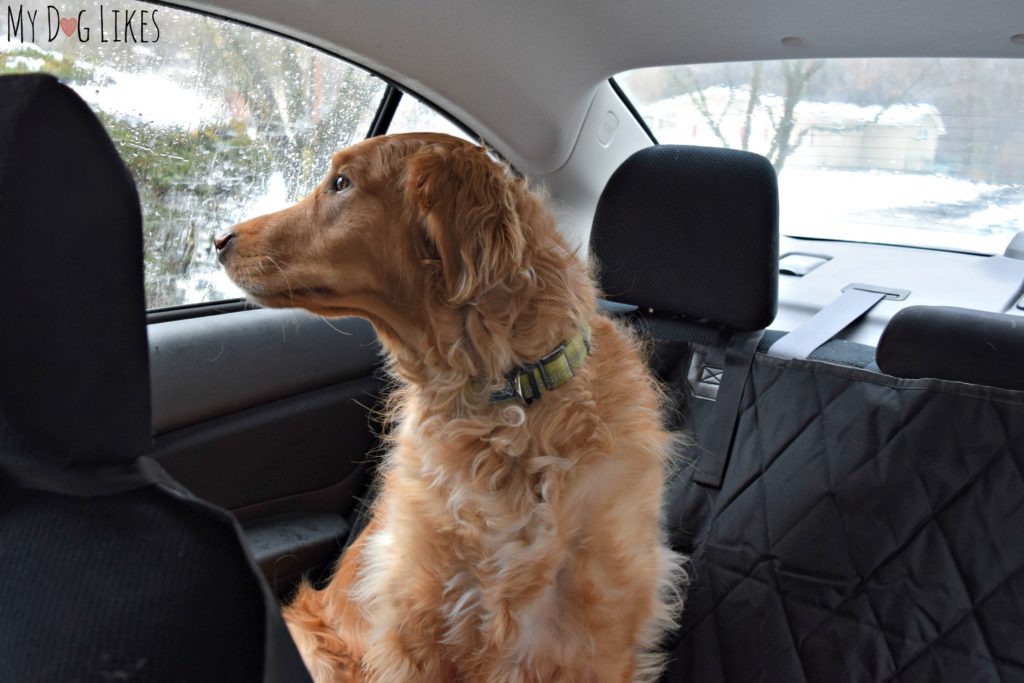 Testing out another bench seat cover for dogs - this one from Plush Paws