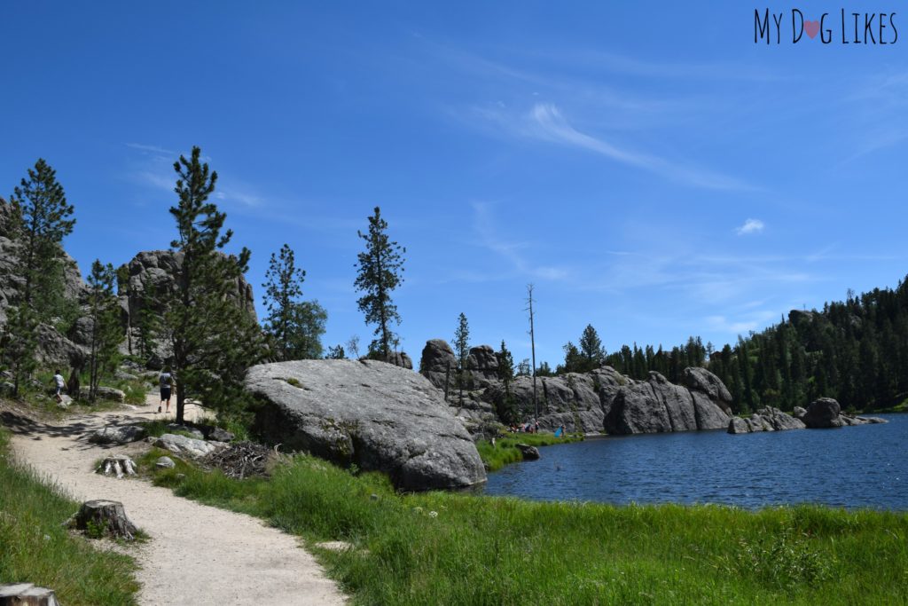 Though it is a popular destination, it is easy to find a secluded spot along Sylvan Lake