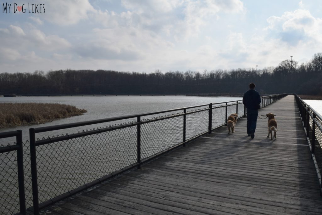 Walking the Boardwalk at Turning Point Park in Rochester, NY