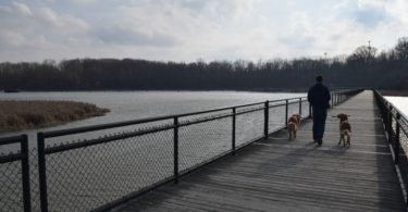 Walking the Boardwalk at Turning Point Park in Rochester, NY