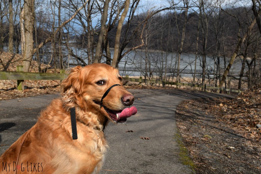 Walking down the hill from the parking lot to the Boardwalk Trail