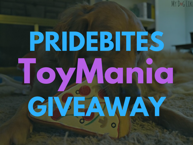 TOYMANIA! - PrideBites Giveaway hosted by MyDogLikes