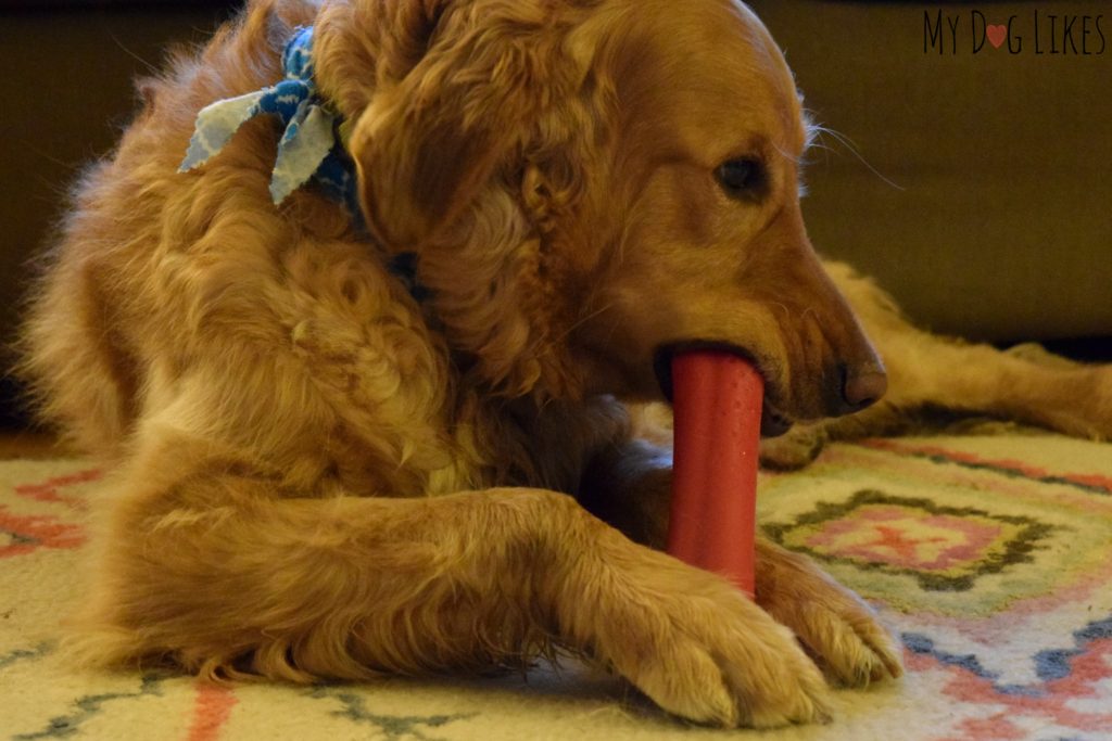 Durable enough to settle in for a chew