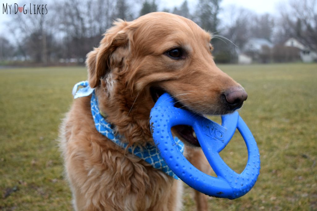 The WO Disc is flexible yet tough enough to withstand some heavy chewing and stretching