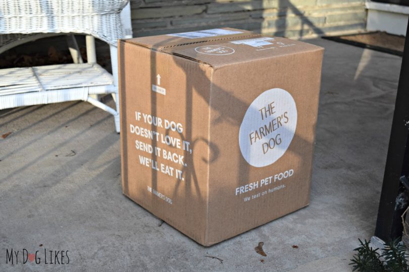"The Farmer's Dog" Review Custom Food Delivered Straight to Your Door