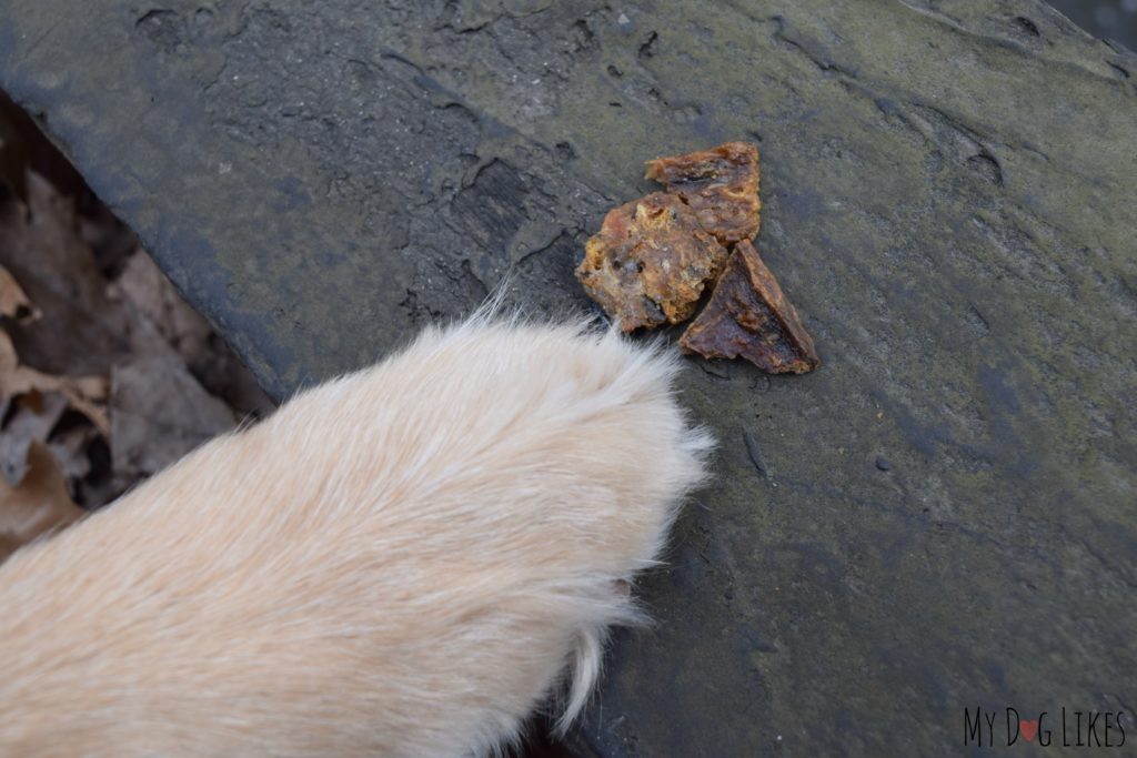 Wild salmon dog treats straight from Alaska