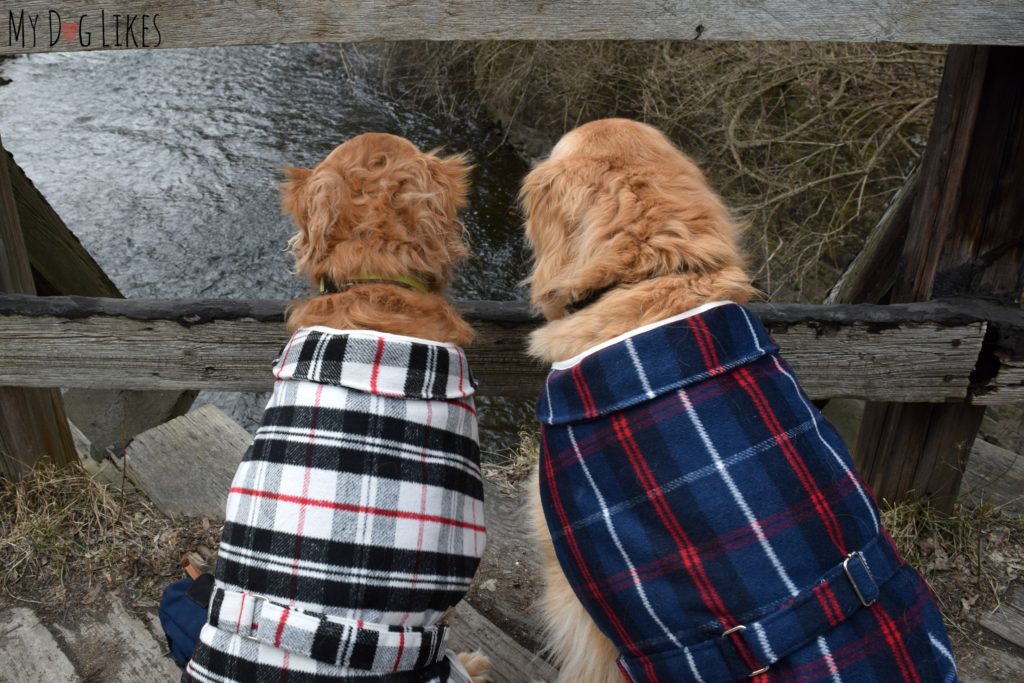 Harley and Charlie looking for a spot to fish!