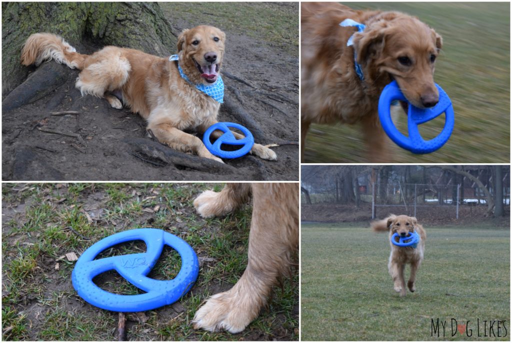 Charlie and the WO Disc in action - This thing flies FAR!