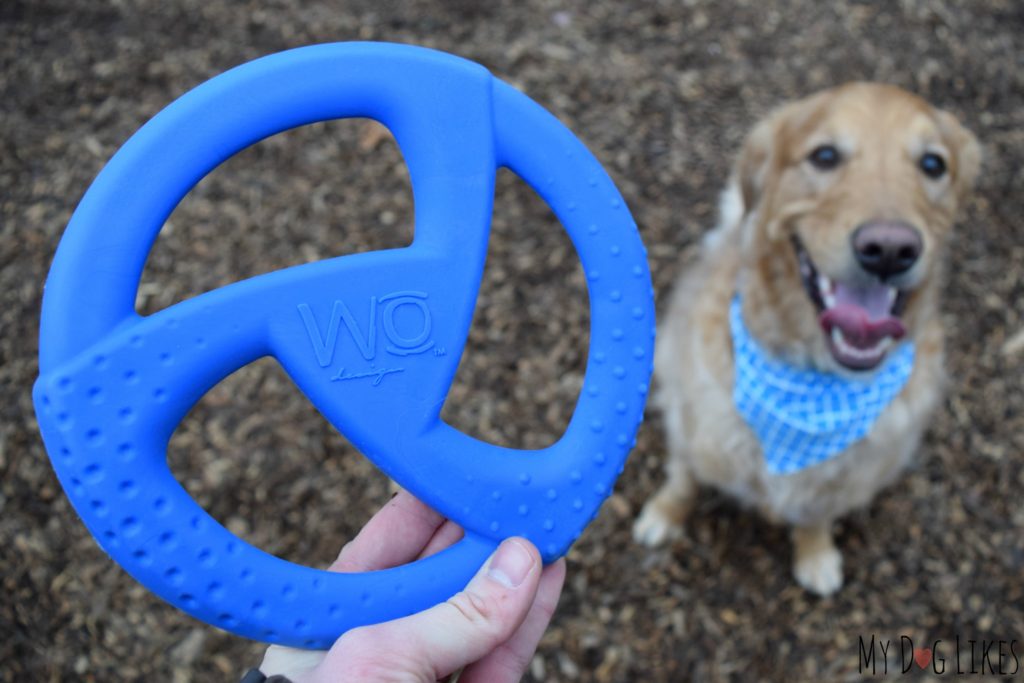 WO Design Disc Review
