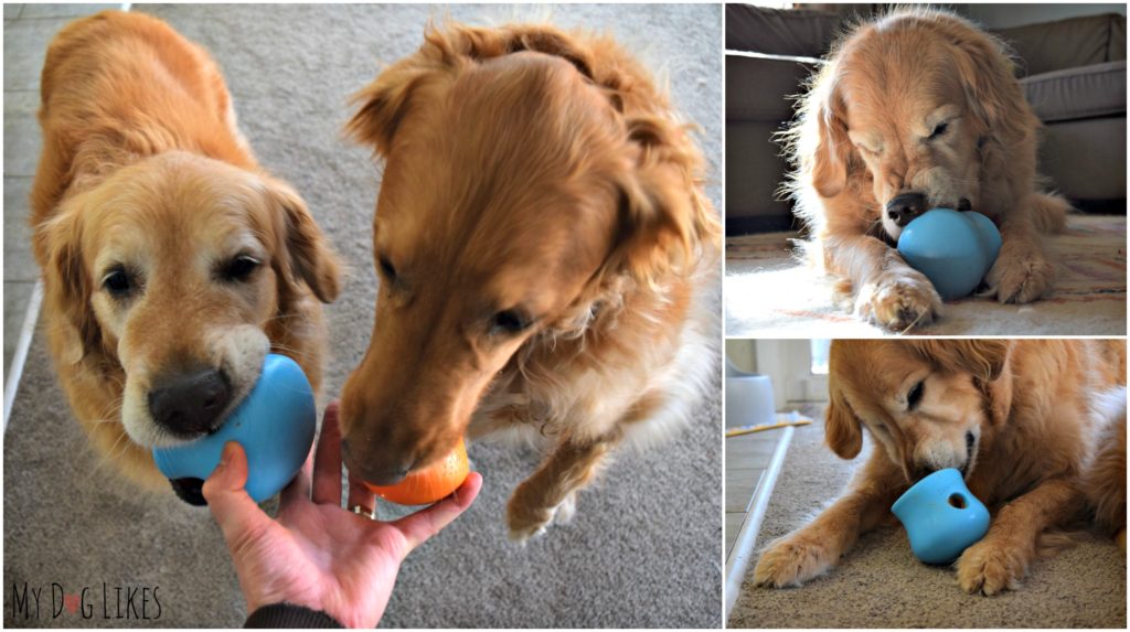 West Paw Design Toppl Review - Tough Chewing, Treat Dispensing