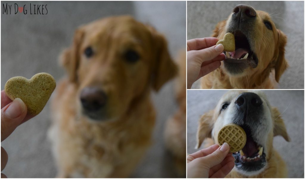 Our boys loved the taste of the new Isle of Dogs treats while we loved the ingredients and sound of their crunching!
