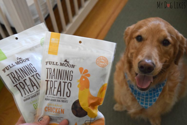 Full Moon Training Treats Helping the Dogs Get Accustomed to Our New Life