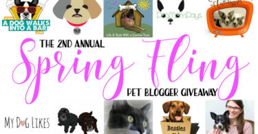 Header image for 2017 Pet Blogger Giveaway