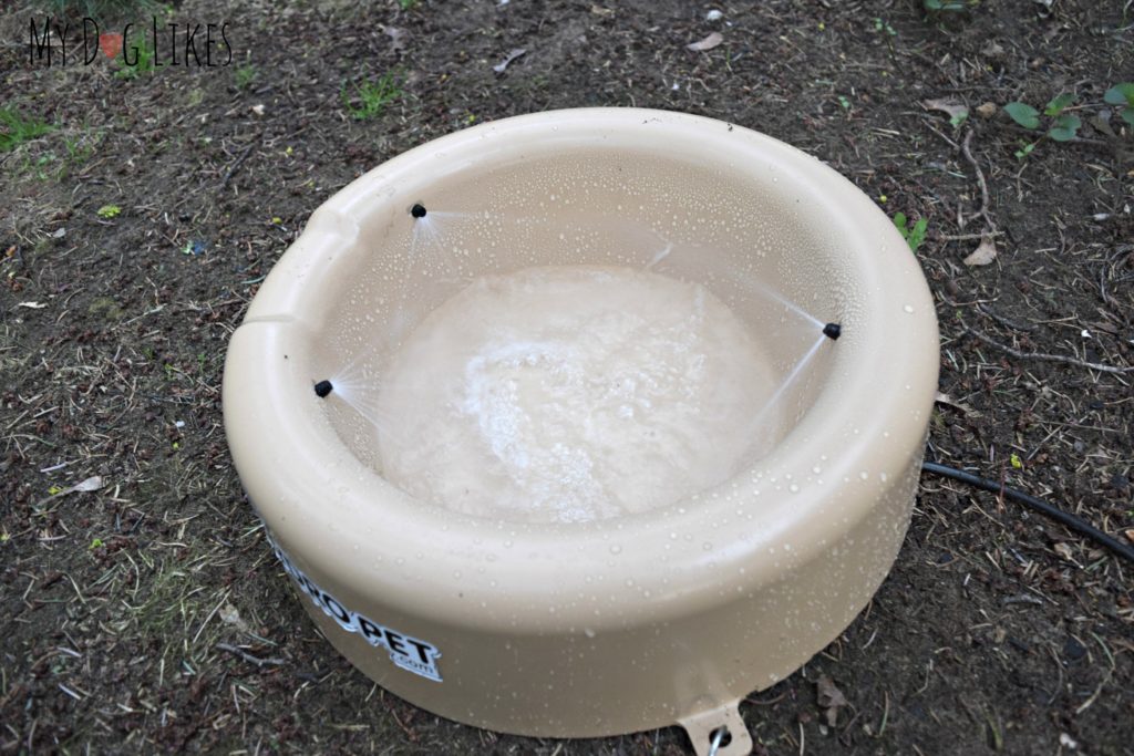 Auto fill outdoor on sale dog water bowl