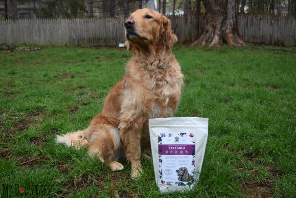 Paradigm is a brand new class of dog food - designed as part of a keto or low-carb diet for dogs.