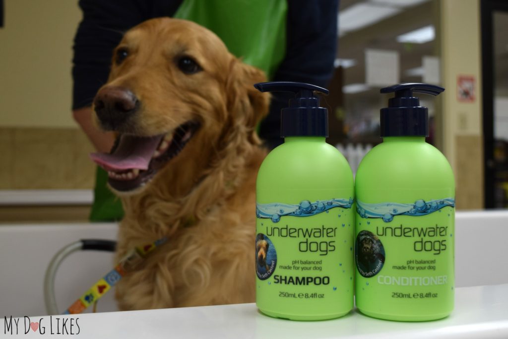 uwdogs, my dog likes, review, underwater dogs, seth casteel, shampoo, conditioner, no-knots, gloss, haircare for dogs, Australia