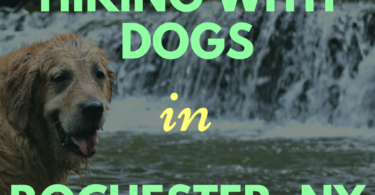 Dog Friendly Hikes in Rochester, NY