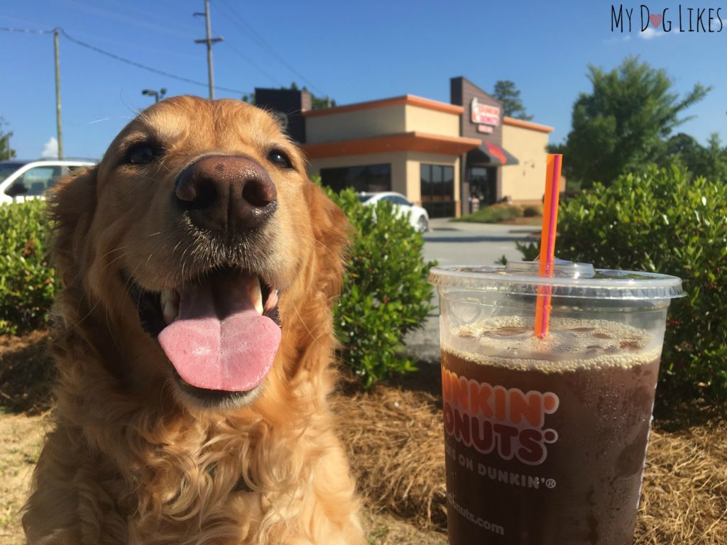 We were thrilled to find Dunkin' Donuts all along our route - unlike last years road trip out West!