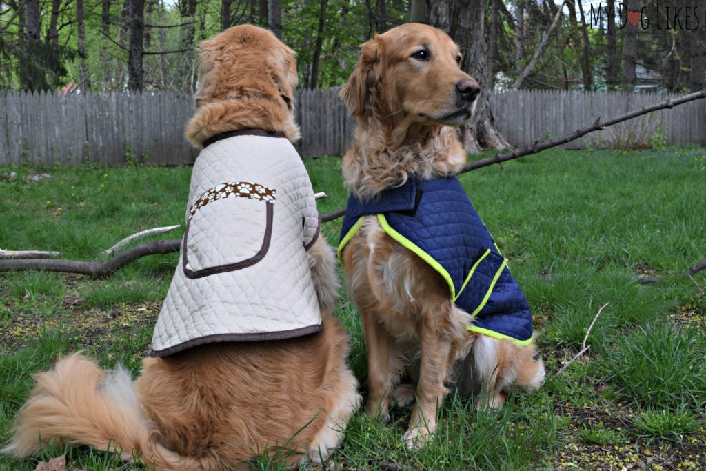 Thanks to a large pocket on the back of the jacket, you will never forget poop bags again!