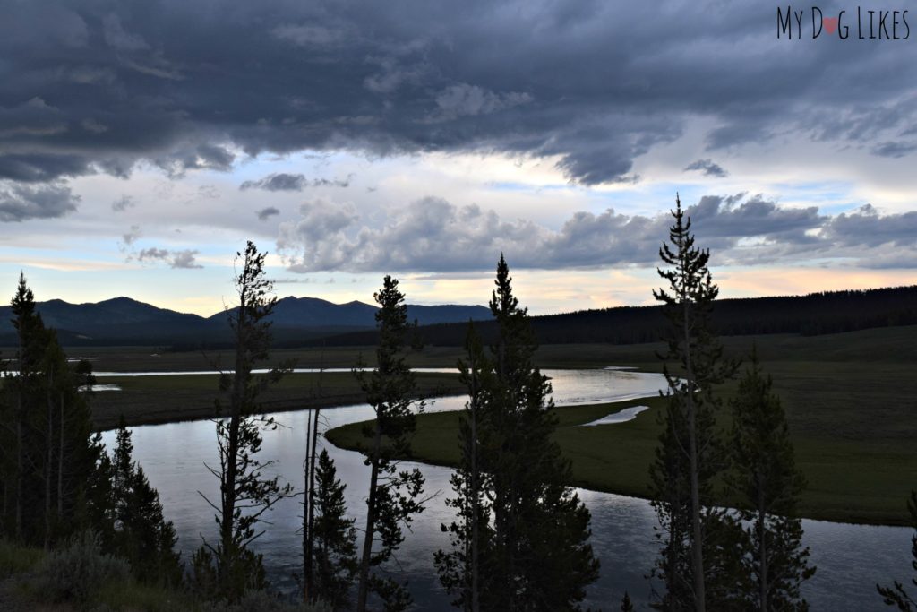 River winding through Hayden Valley