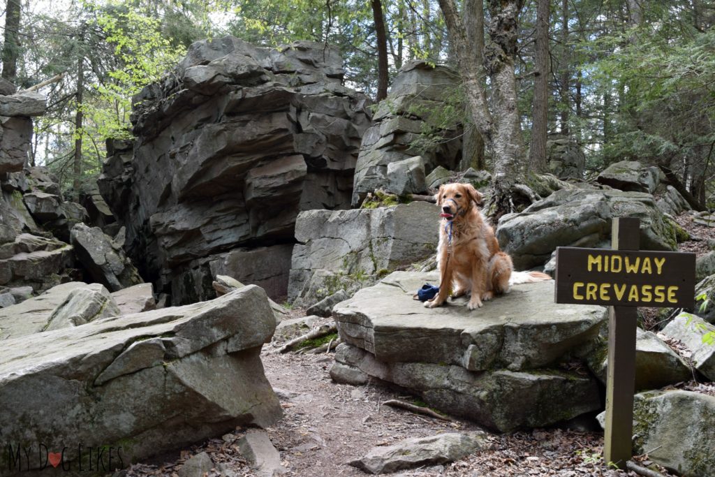 Charlie posing on the rocks at the Midway Crevasse