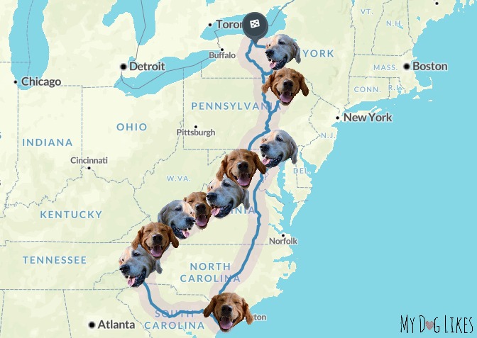 MyDogLikes 2017 dog road trip map