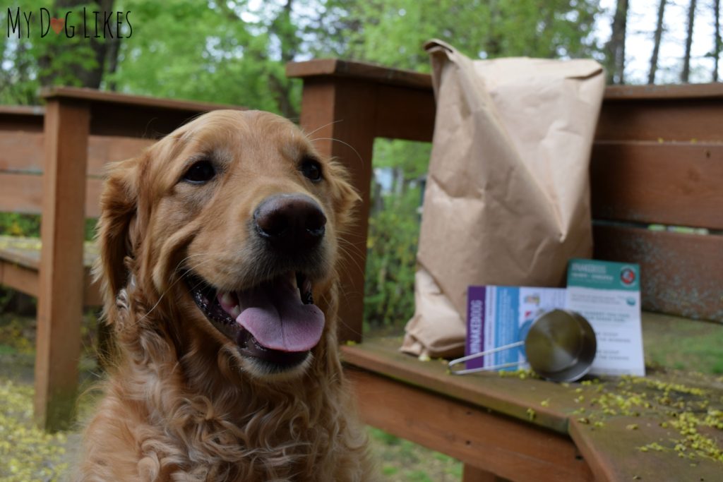 yDogLikes reviews The Naked Dog Box pet food delivery service!