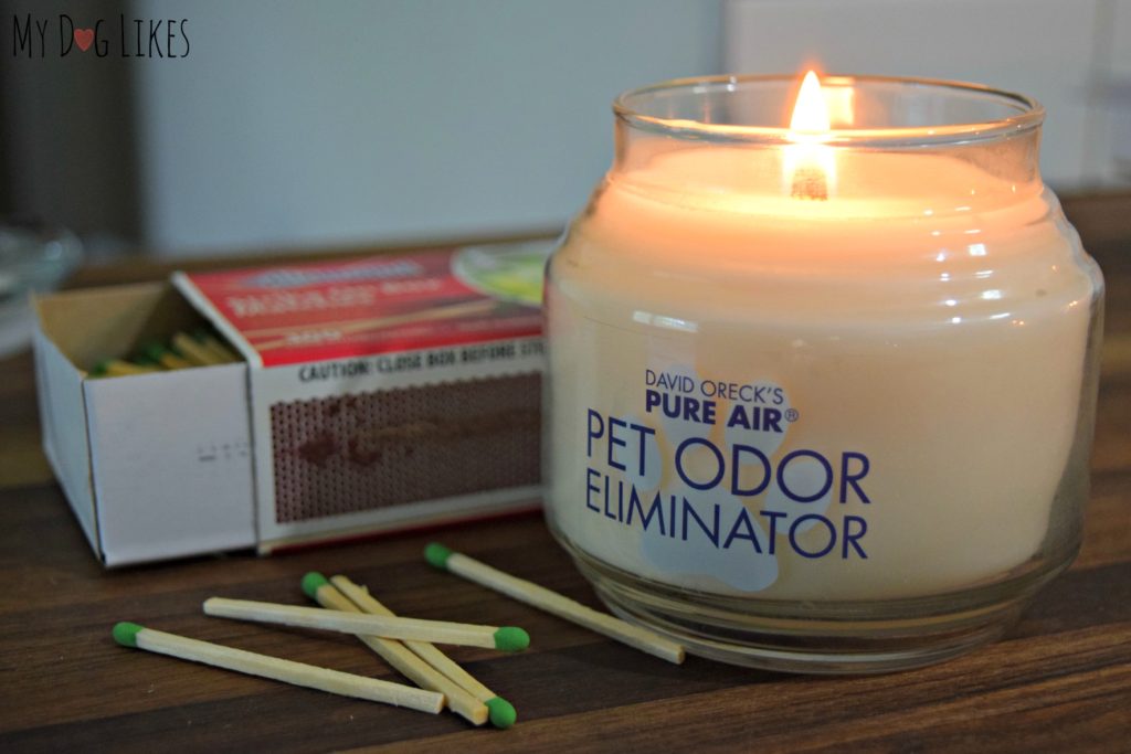 Testing out the Pure Air odor eliminating candle.