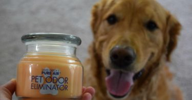 Pet Odor Eliminator Candle from Oreck