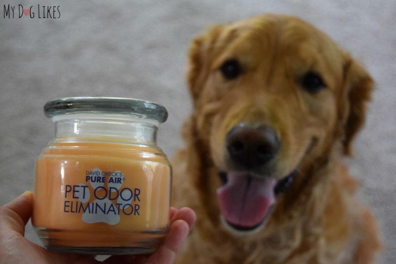 Pet Odor Eliminator Candle from Oreck