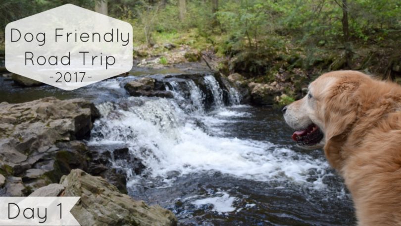 On the first day of this years road trip we visit Rickett's Glen State Park in Northeast Pennsylvania