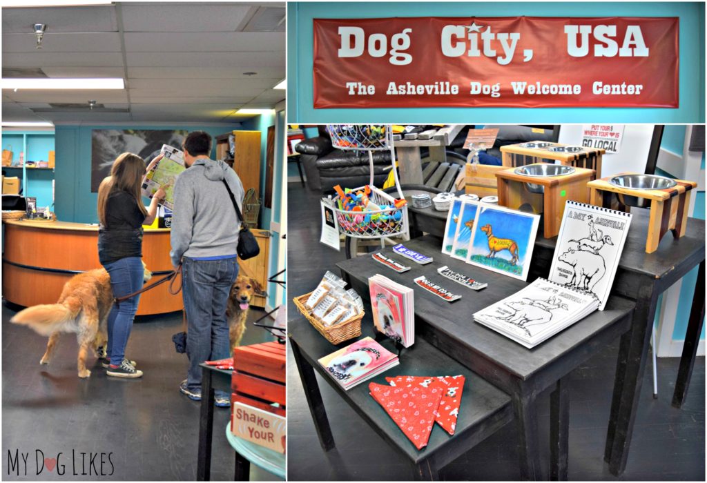 Stopping in at The Dog Door which serves as the official Dog Welcome Center for Asheville!