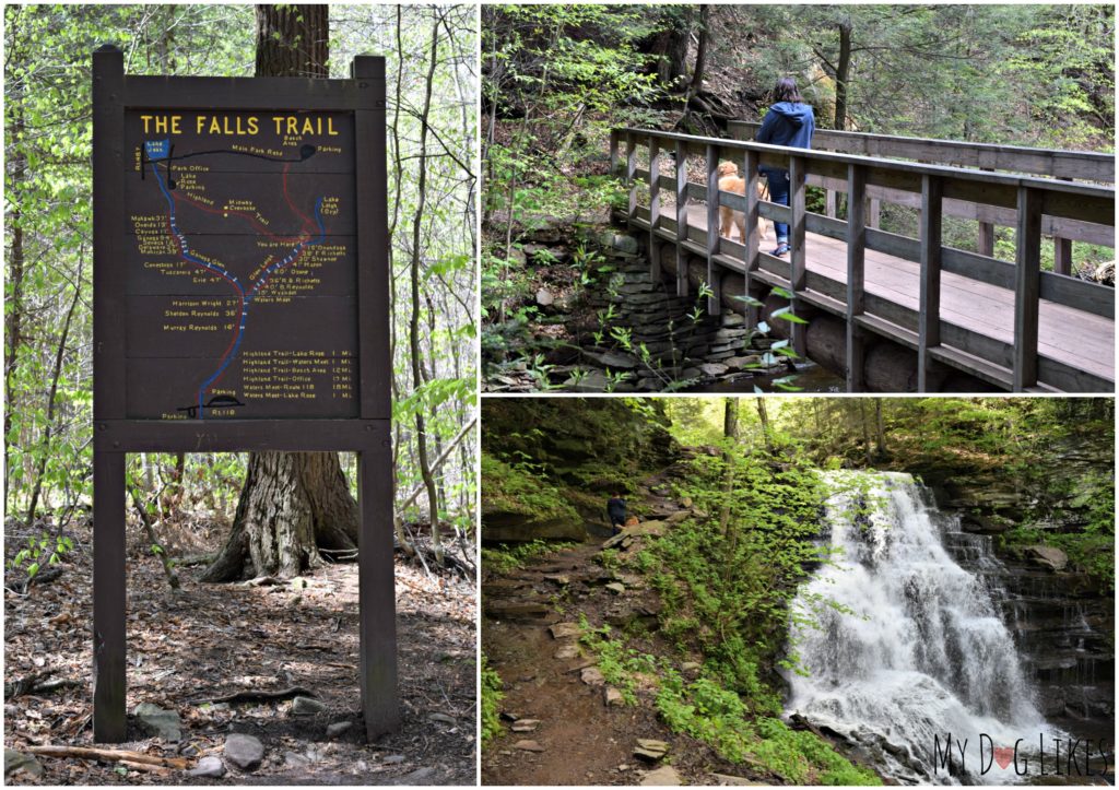 Getting started on the Falls Trail at Rickett's Glen
