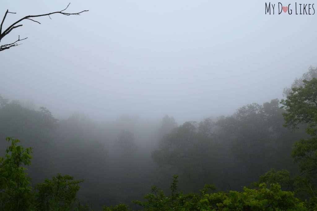 Dense Fog in the Blue Ridge Mountains