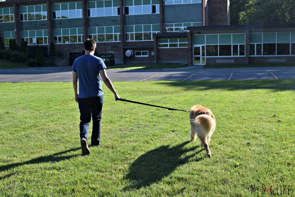 Reviewing the 2 Handle Dog Leash from Lucky & Co.