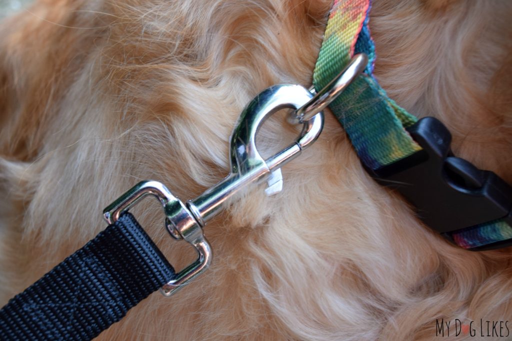 The Hand-in-Hand dog leash is complete with heavy duty hardware