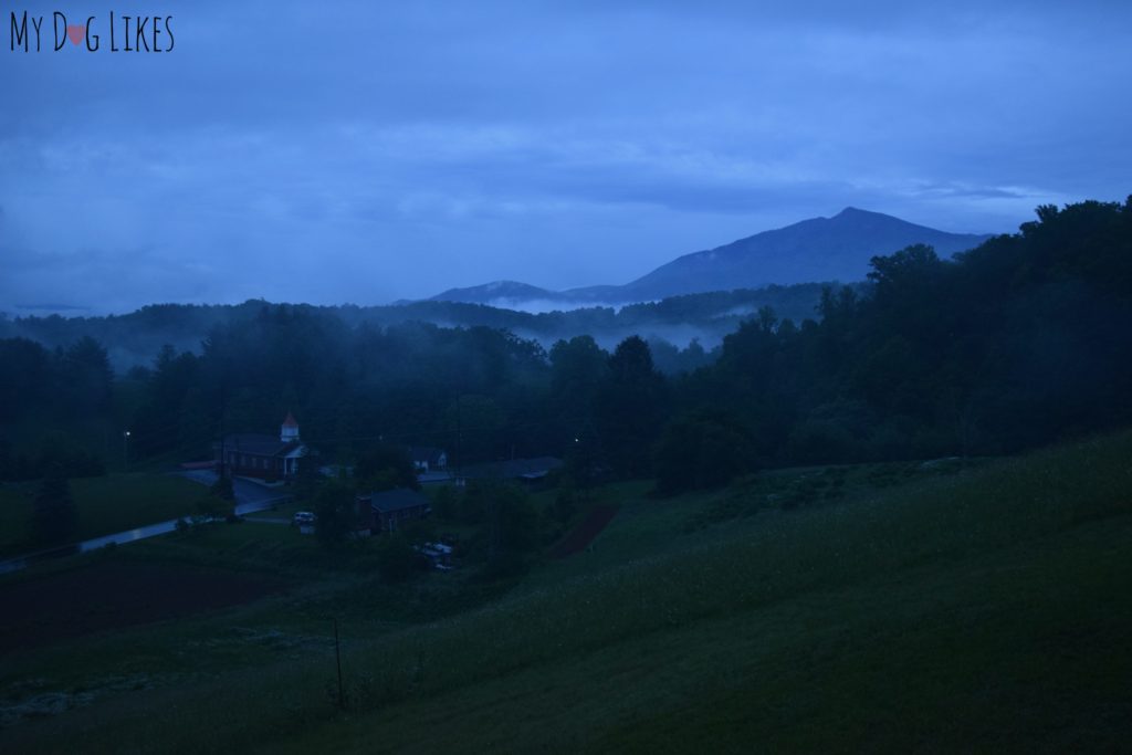 Waking up to fog around Mount Mitchell