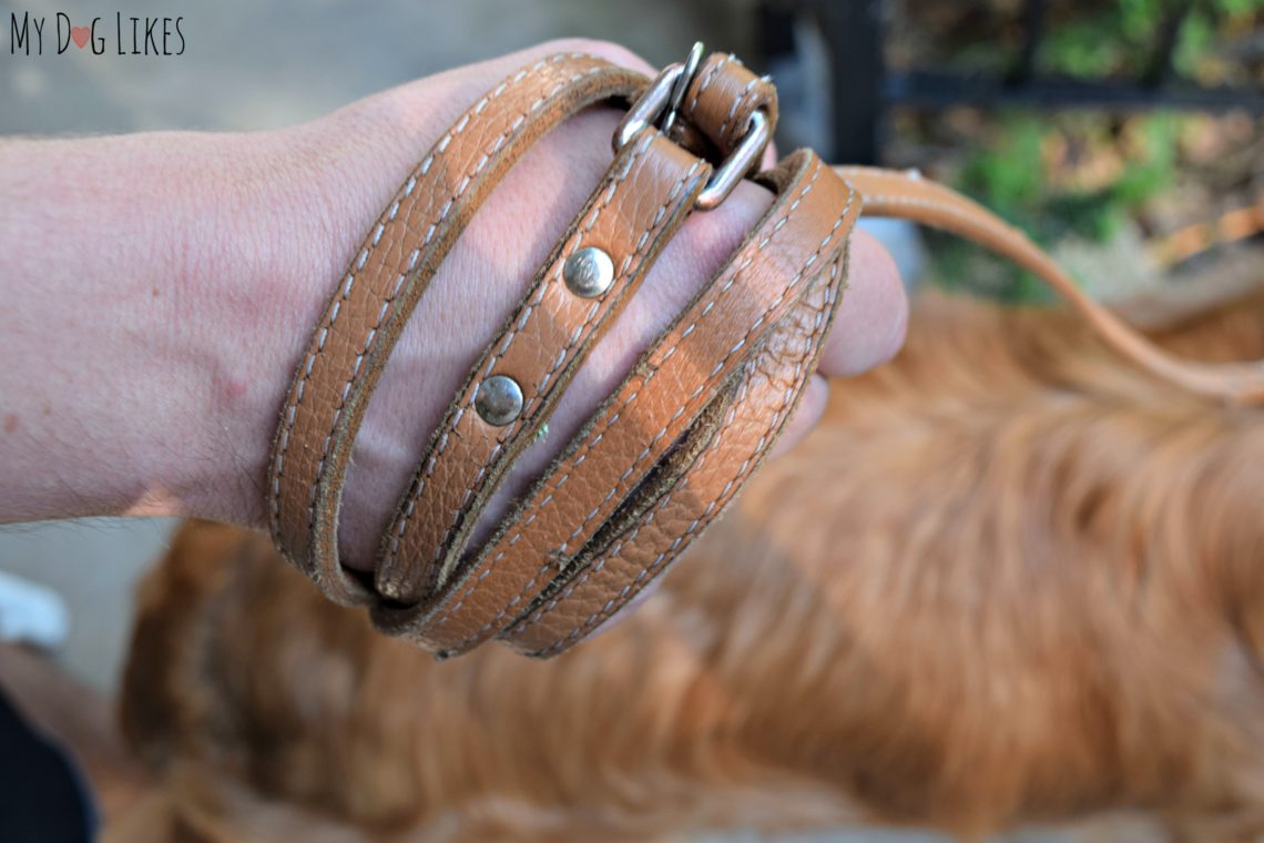 Staying in Control with a 2 Handle Dog Leash from Lucky & Co.