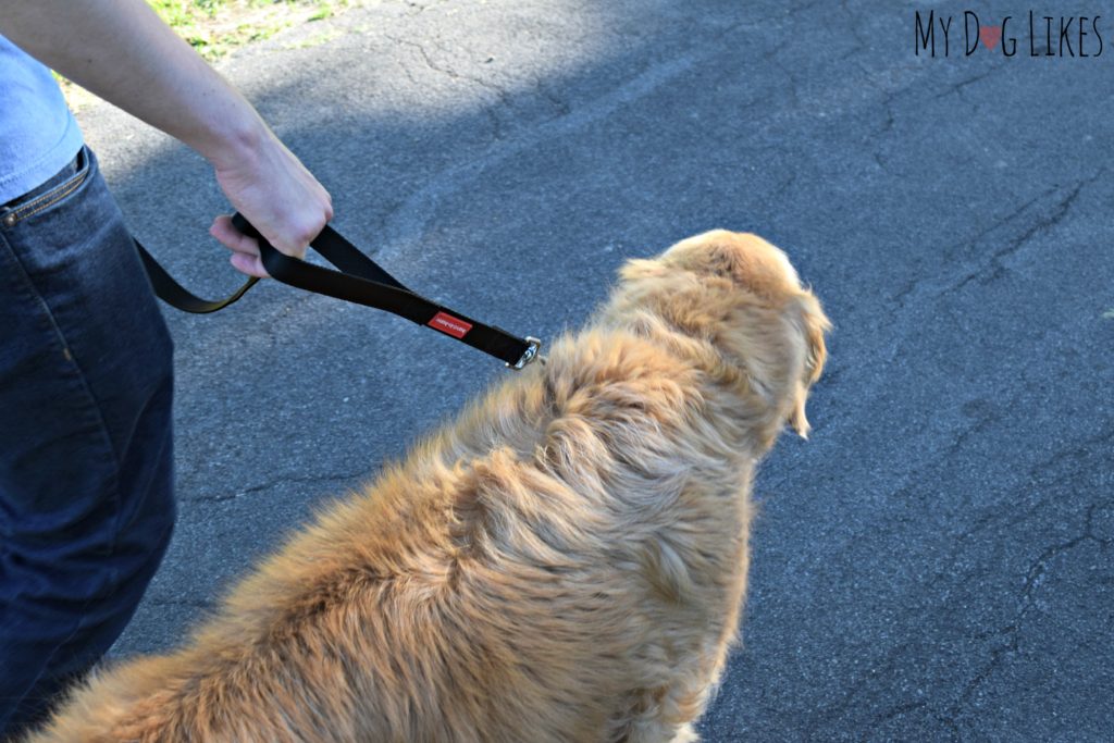 Holding onto the short handle of the Hand-in-Hand leash