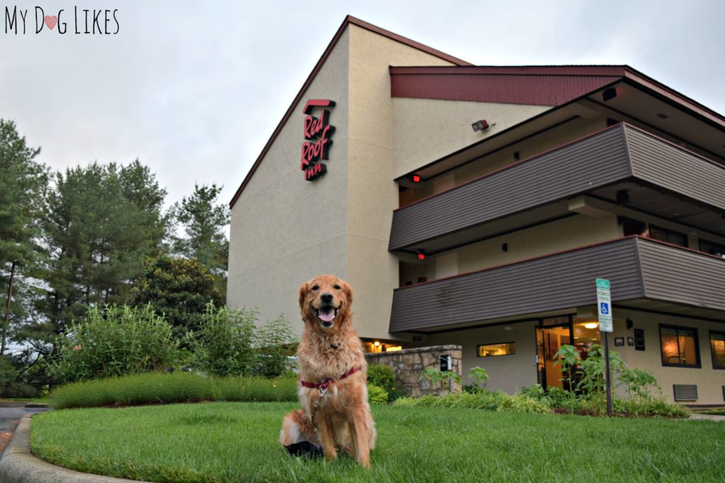 Staying at the Red Roof Inn West Asheville location