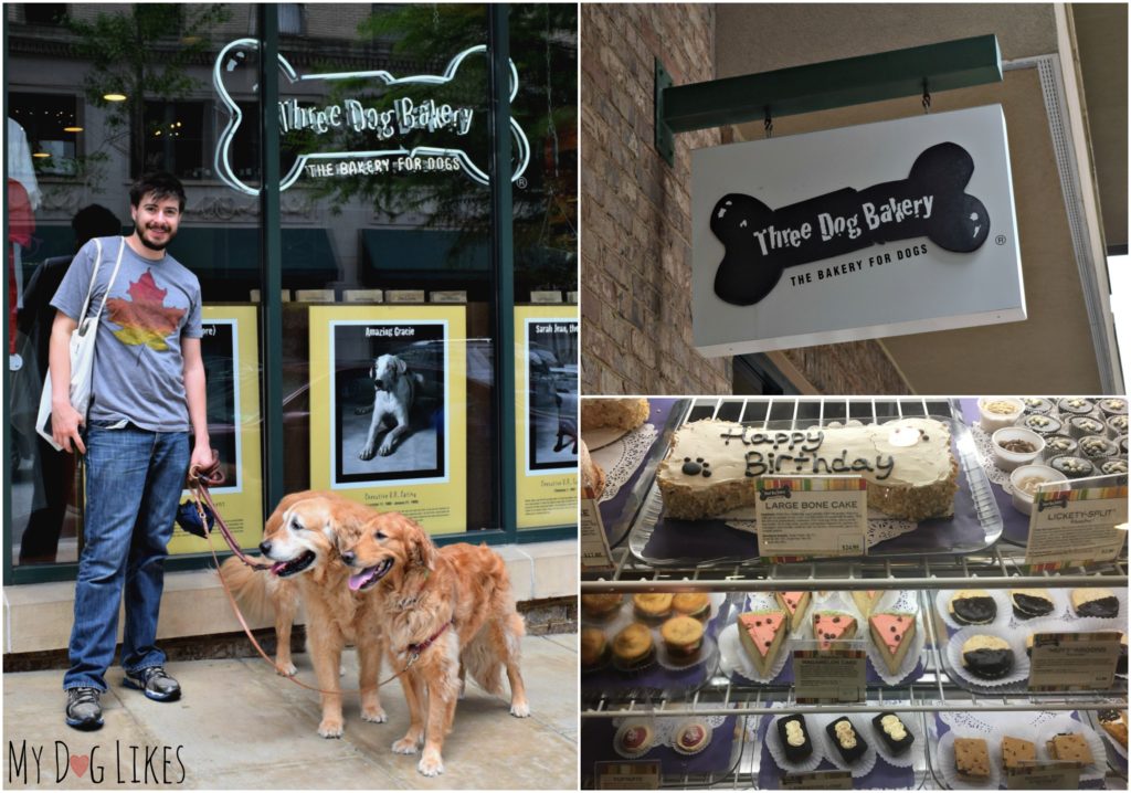 Stopping in to get the dogs a snack at Three Dog Bakery in Asheville