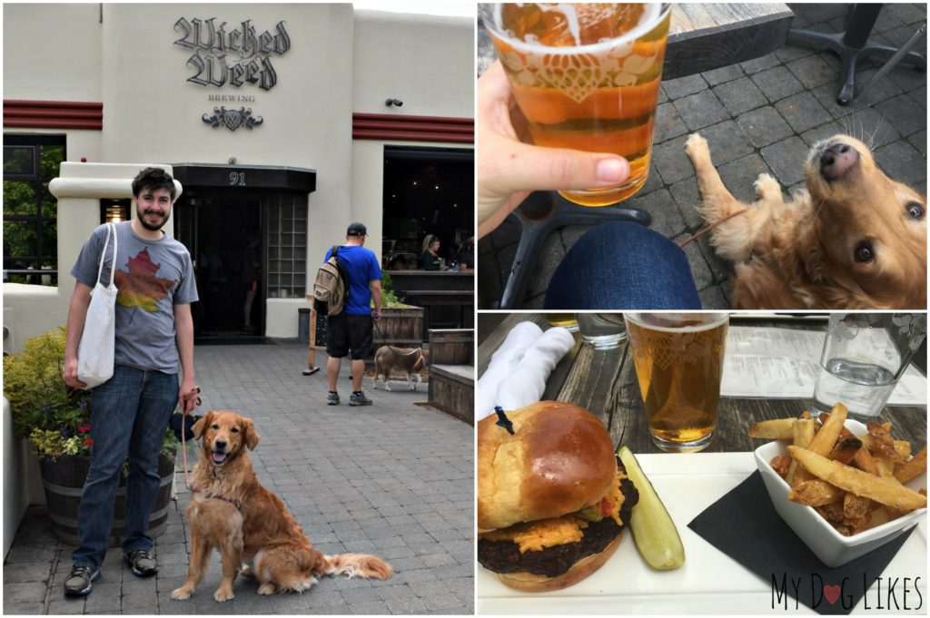Lunch and a beer at Wicked Weed Brewing - where dogs are welcome!