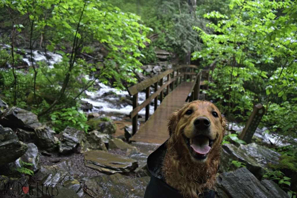 Footbridge at the base of Crabtree Falls