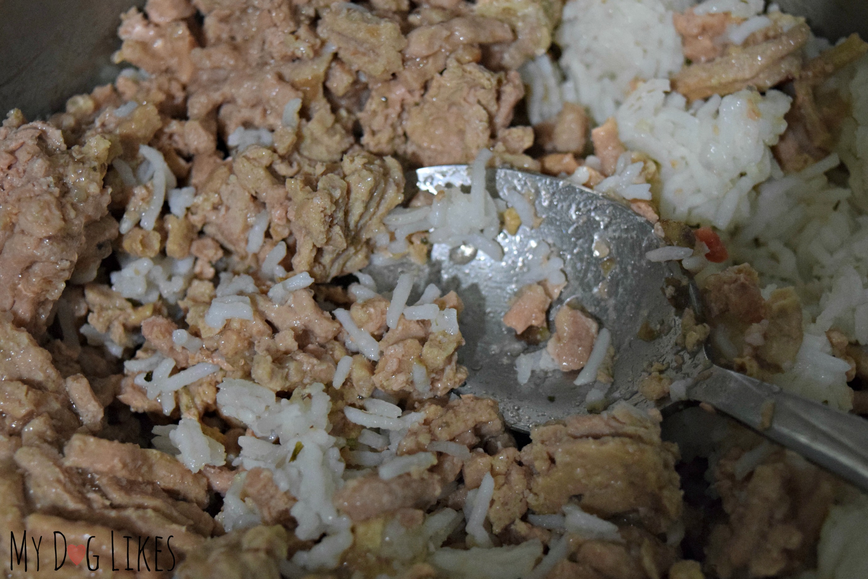 White rice hotsell for puppy diarrhea