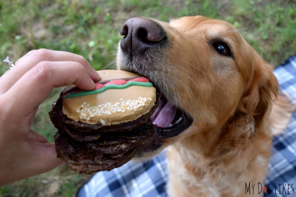 Struggling to wrap his mouth around the doggy burger!